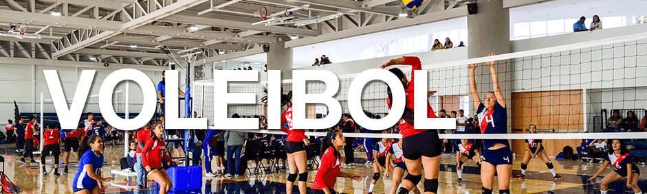 Voleibol