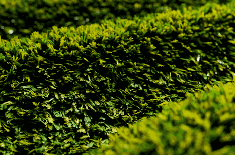 Pasto Sintético Pasto Sintético